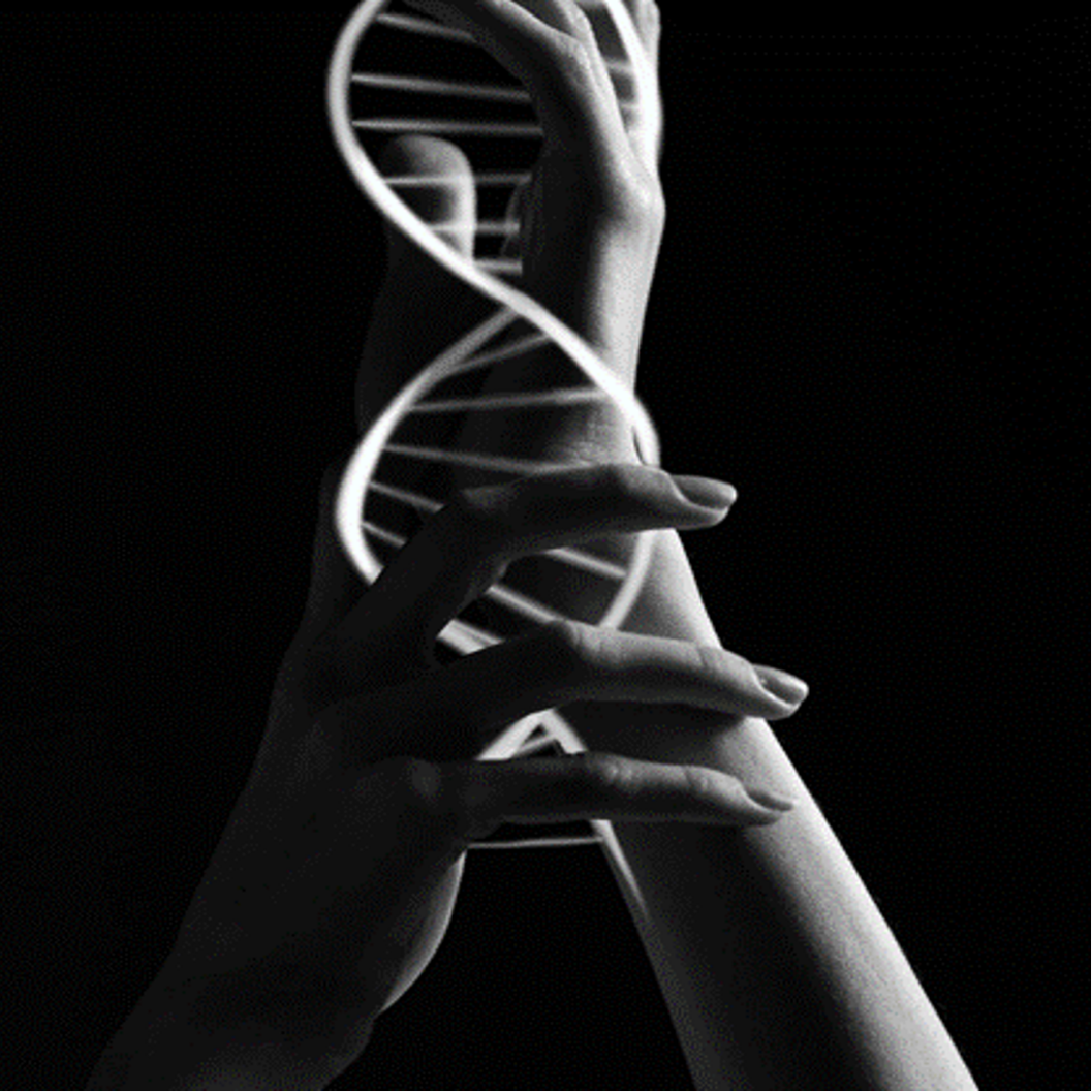 Wellness Ecosystem Design